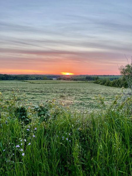 Vue depuis les abords du contournement